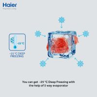 Haier Refrigerator 306TPR