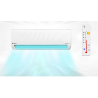 DOWLANCE Chrome INV 30 WB  Split AC