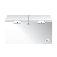 DAWLANCE 500 DD Twin Door Freezer