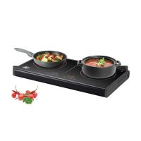 ANEX 2162 DOUBLE HOT PLATE DIGITAL