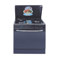 FISCHER GAS COOKING RANGE ECOMONY PLUS MODEL